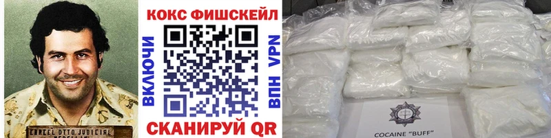 купить наркотики цена  Ветлуга  КОКАИН FishScale 