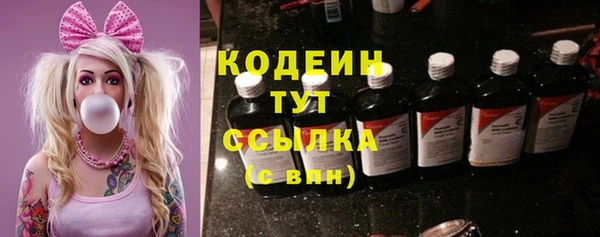 хмурый Сатка