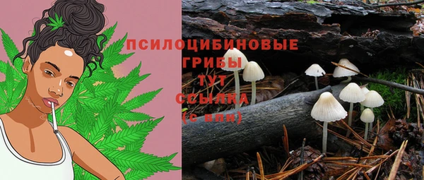 спайс Алзамай